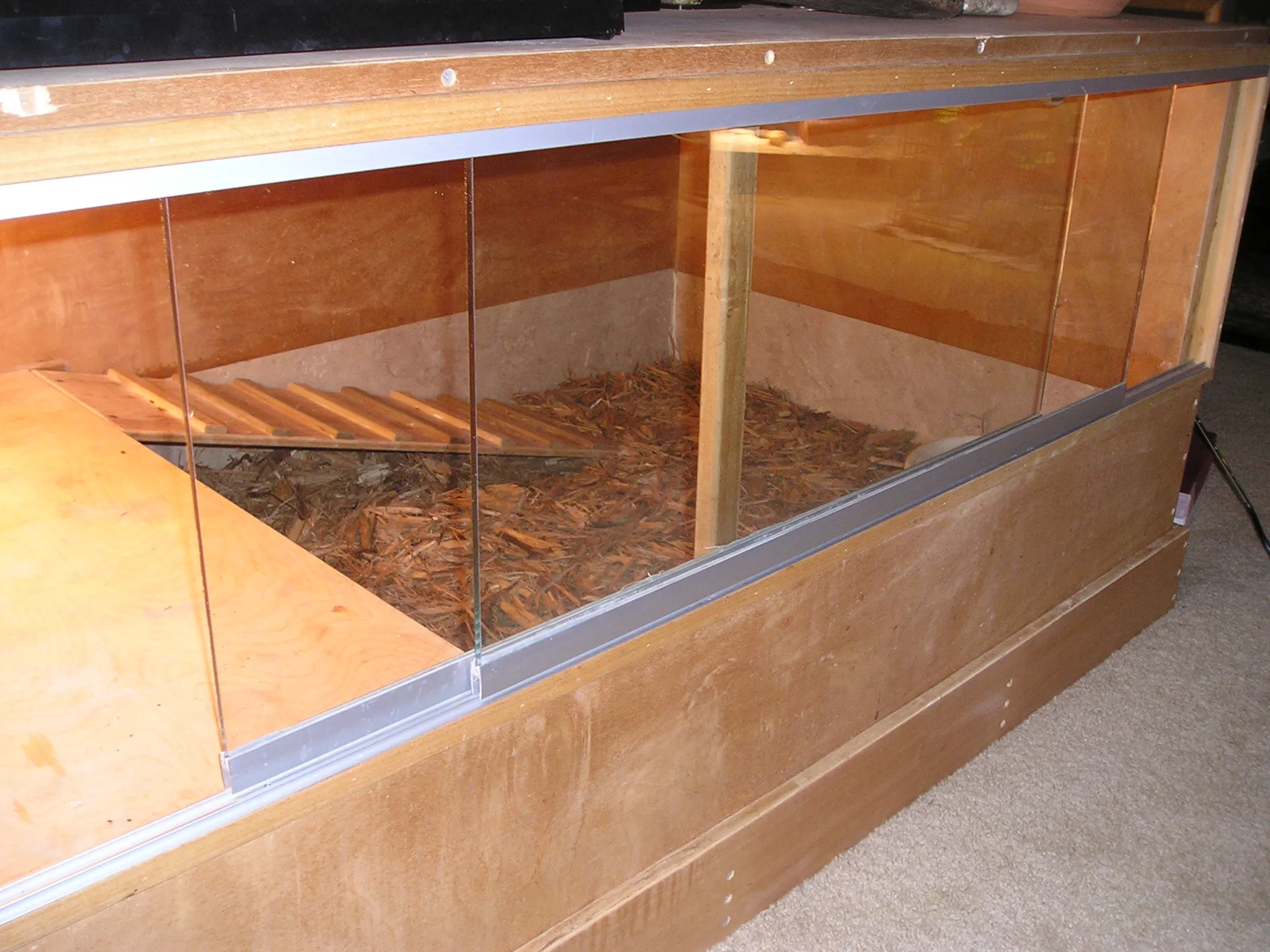 19416 tarantula substrate options