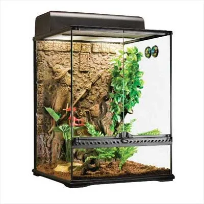 19416 terrestrial tarantula enclosure
