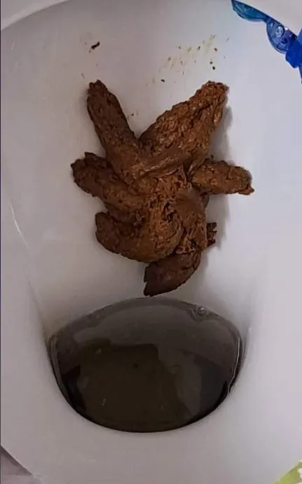 19421 tarantula poop substrate