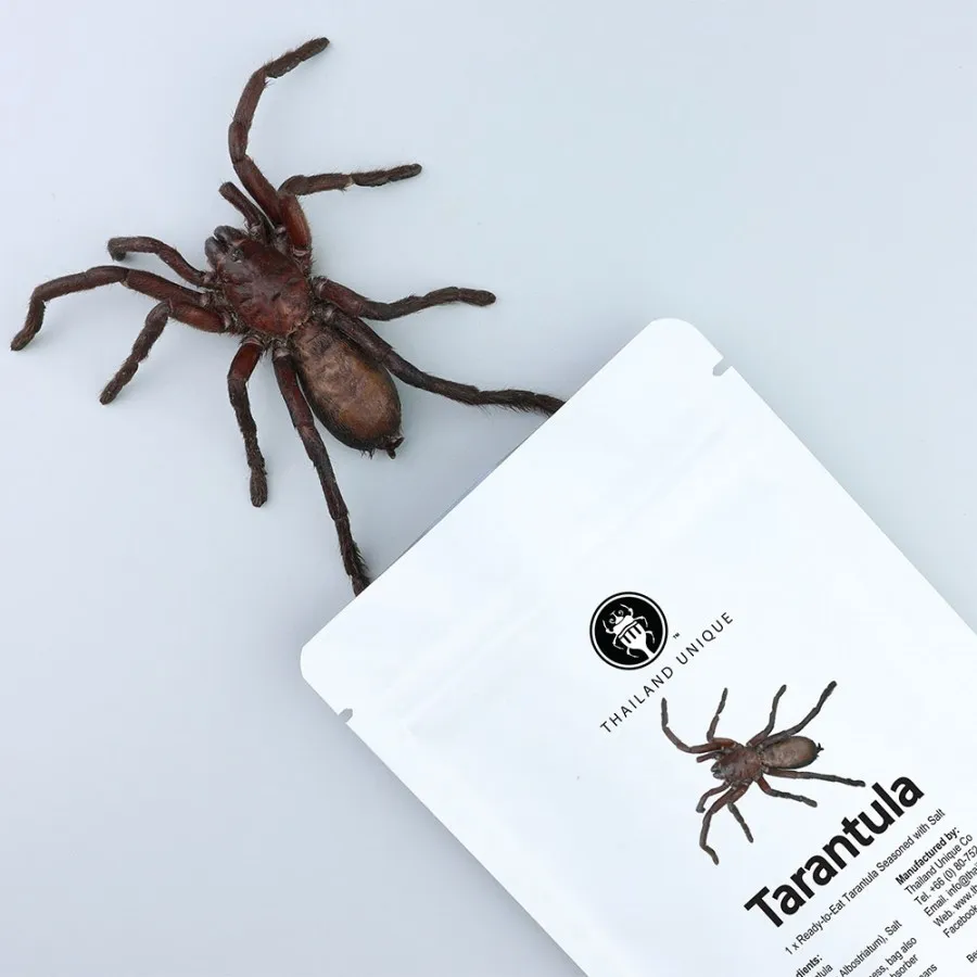 19423 tarantula pre killed insect
