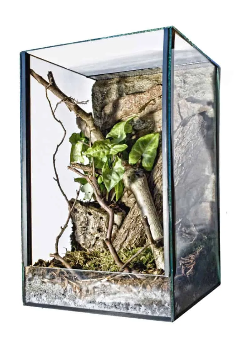 19427 tarantula enclosure ventilation