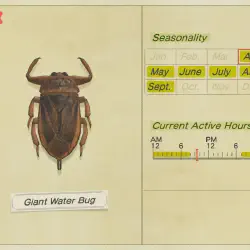 /img/19428-animal-crossing-tarantula-farm-conclusion.webp