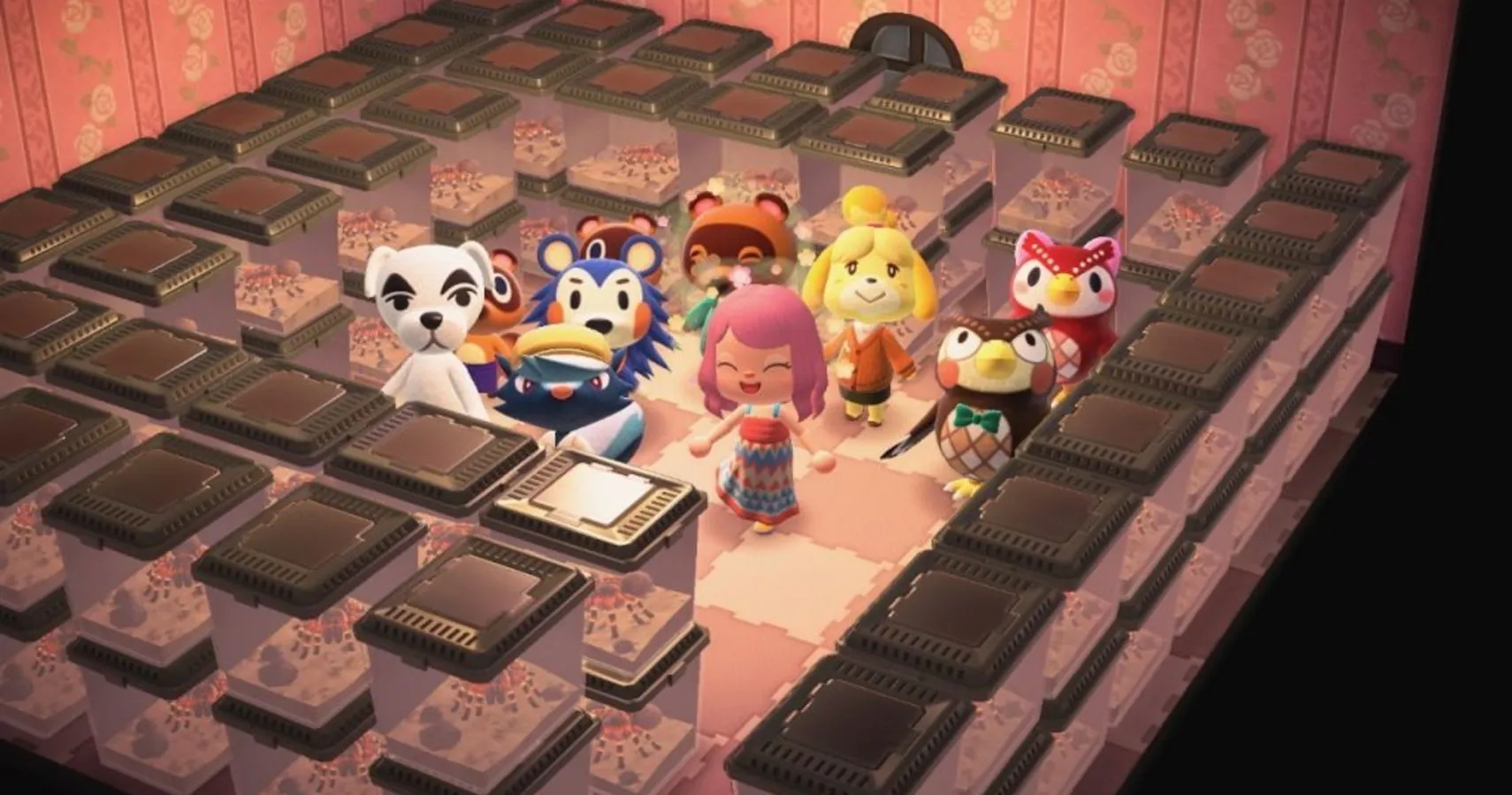 19428 animal crossing tarantula farming intro