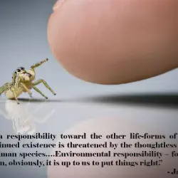 /img/19451-tarantula-culture.webp