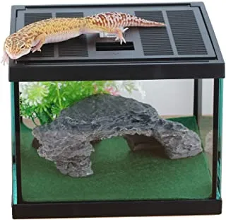 19454 enclosure 3 tarantula