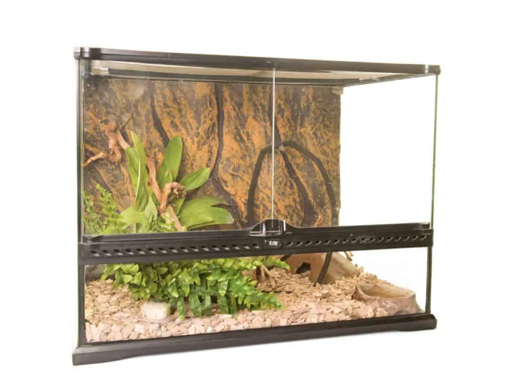 /img/19454-tarantula-enclosure-top.webp