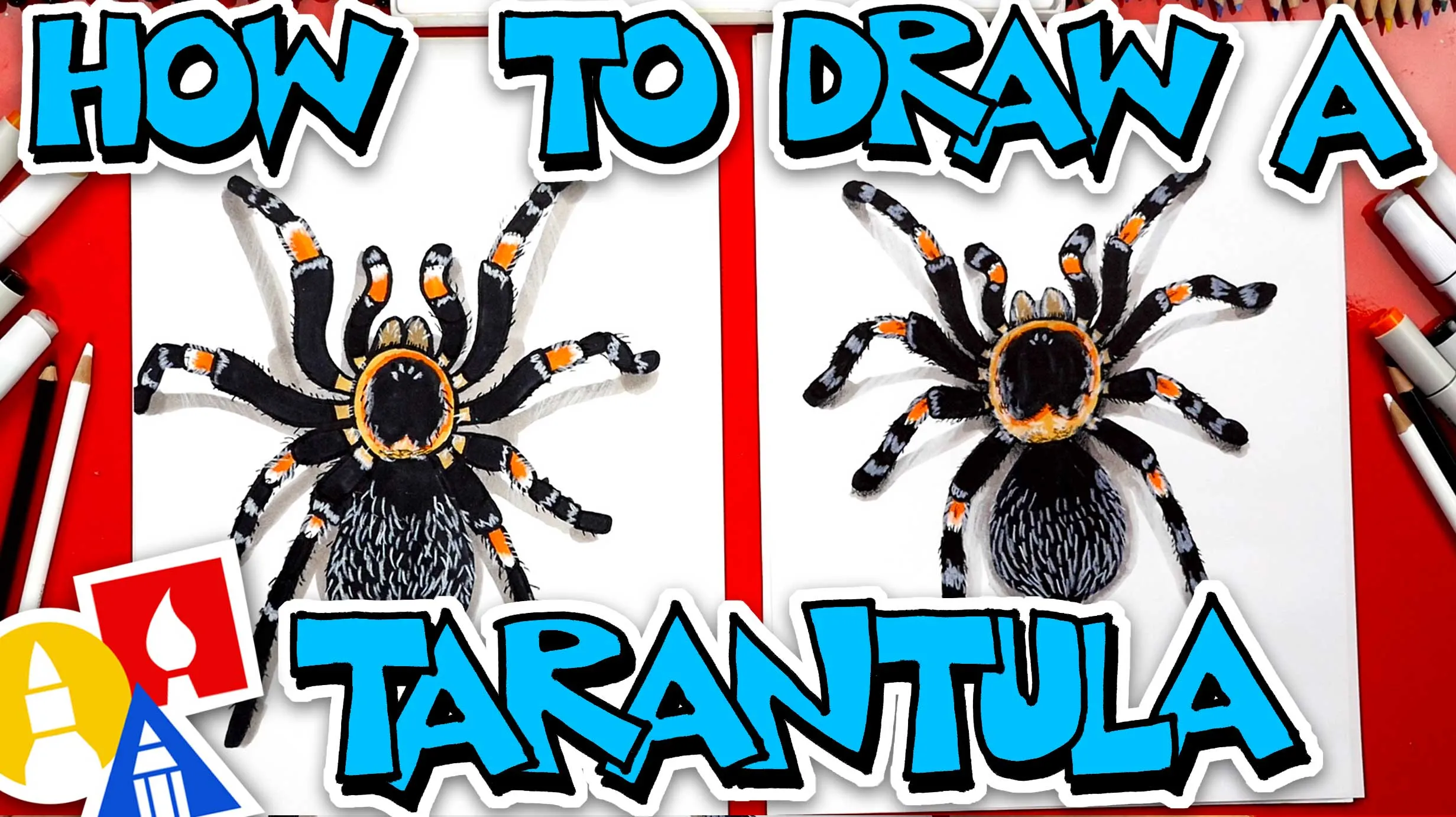 19468 red knee tarantula enclosure