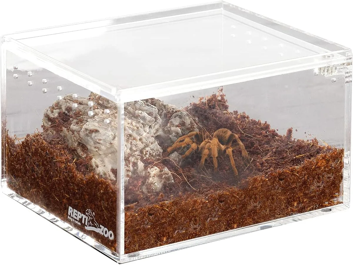 /img/19478-breeding-box-feeding.webp