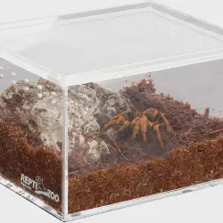 /img/19478-breeding-box-feeding.webp