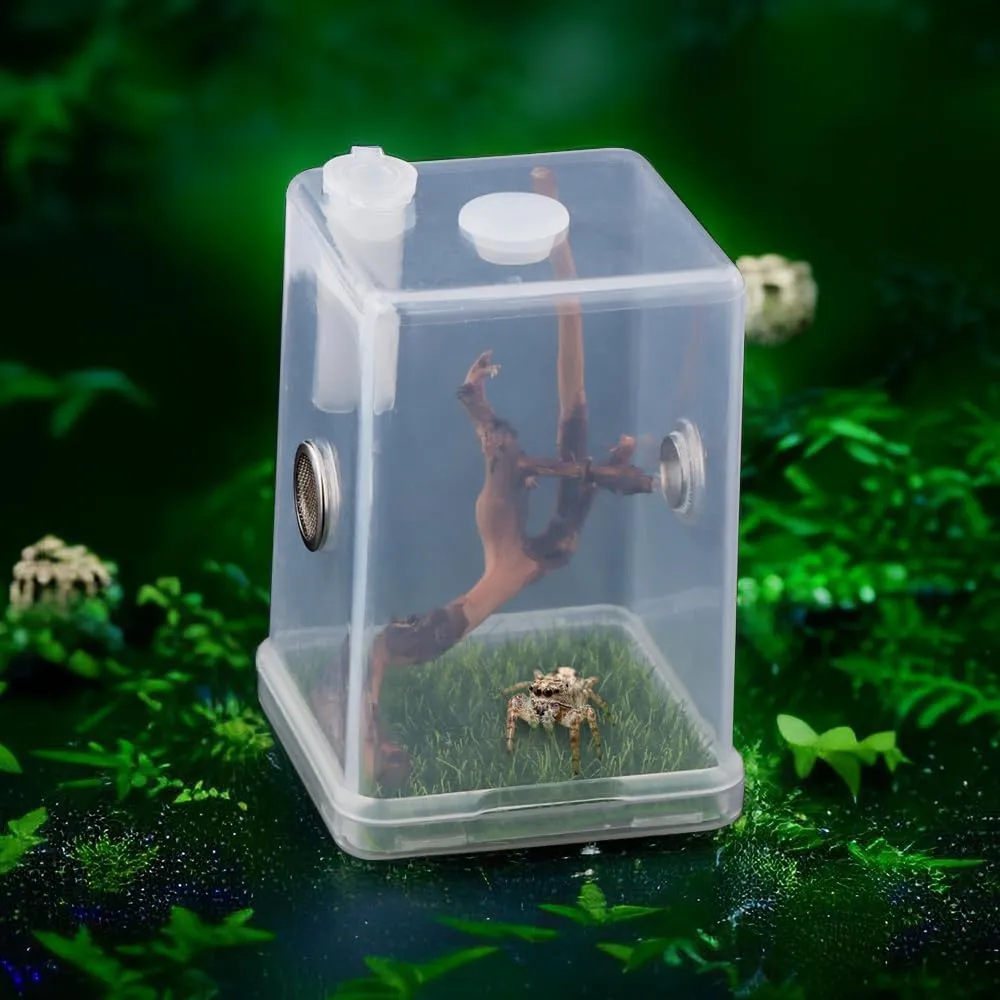19478 tarantula humidity gauge