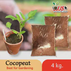 /img/19483-cleaning-coco-peat-tarantula.webp