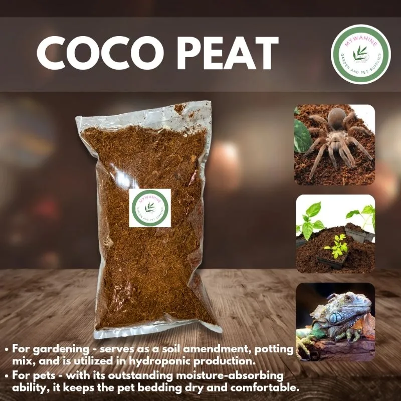 19483 tarantula digging coco peat