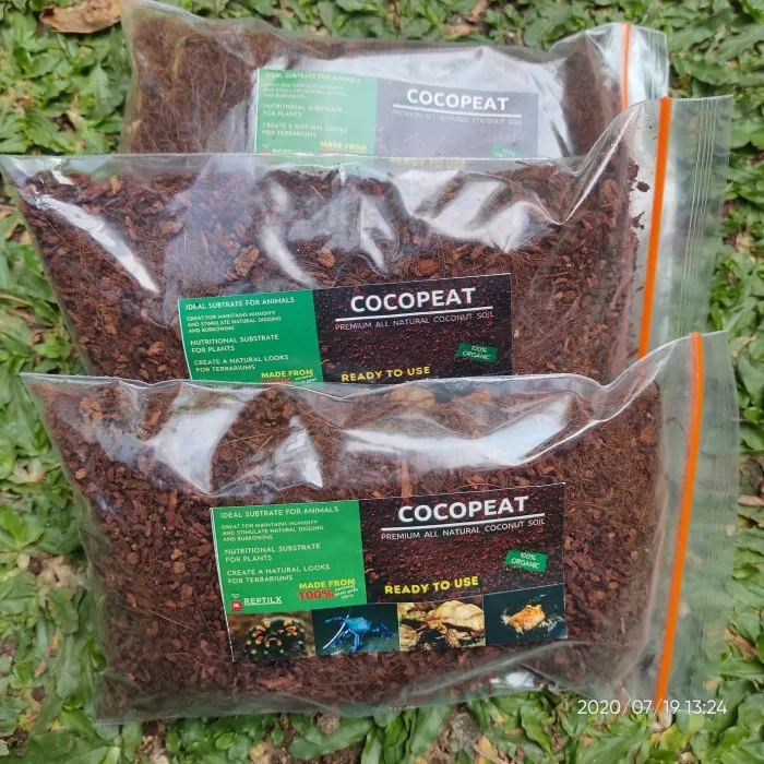 19483 tarantula enclosure coco peat