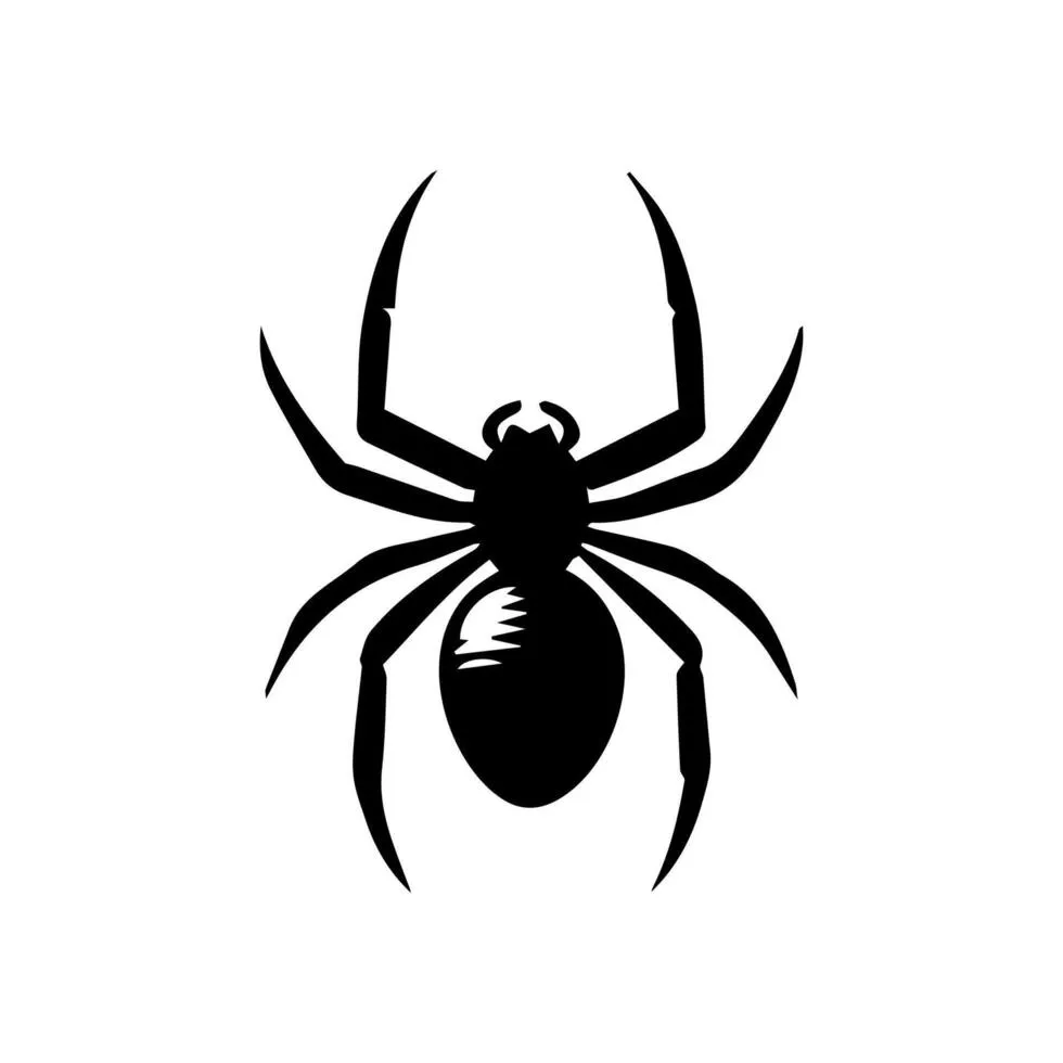 19497 baby tarantula vector coloring