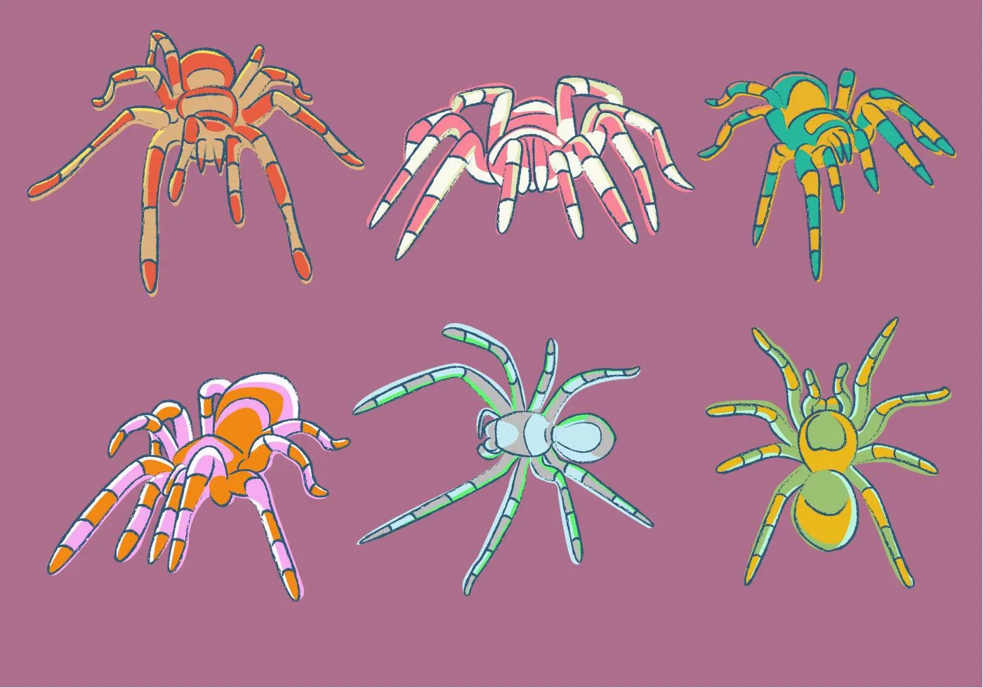 19497 baby tarantula vector details