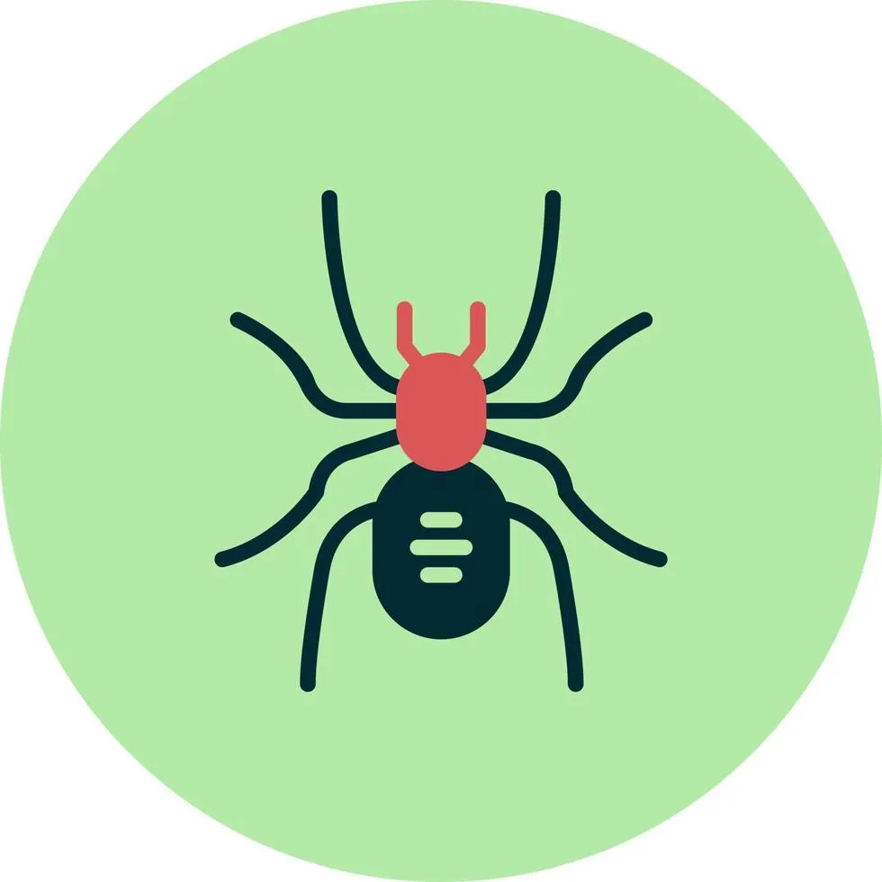 /img/19497-baby-tarantula-vector-export.webp