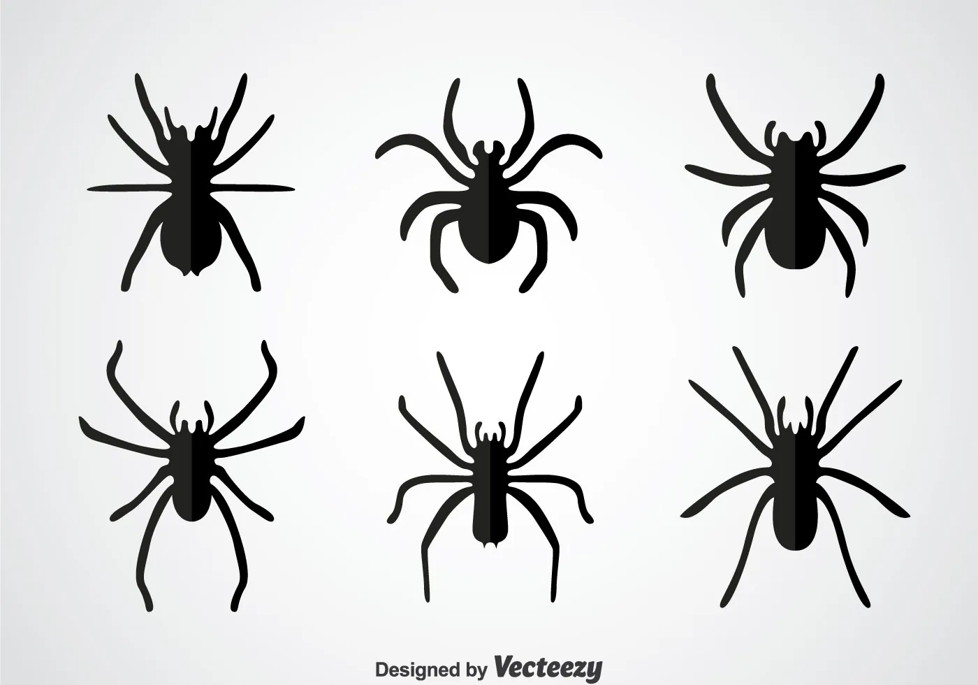 19497 baby tarantula vector outline