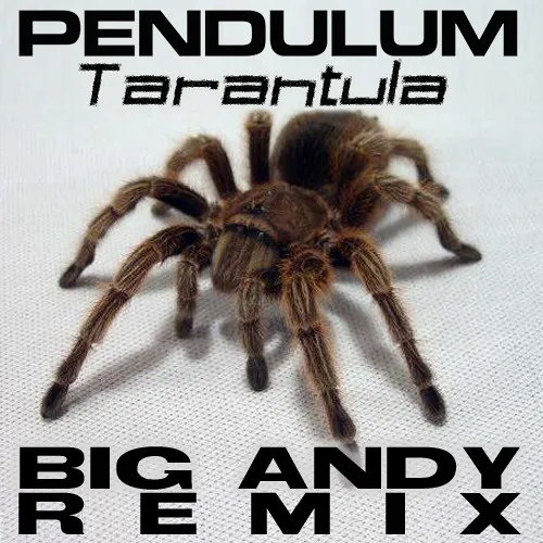 19507 pendulum tarantula system requirements