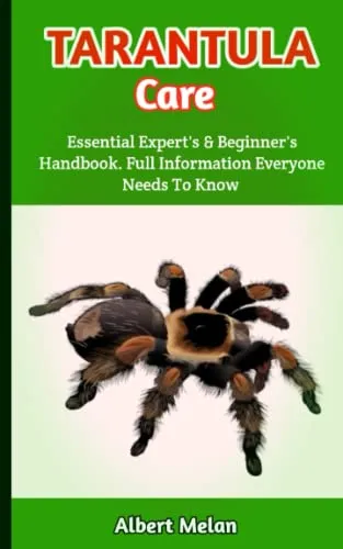 /img/19512-lp-tarantula-handling.webp