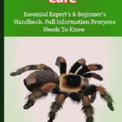 /img/19512-lp-tarantula-handling.webp