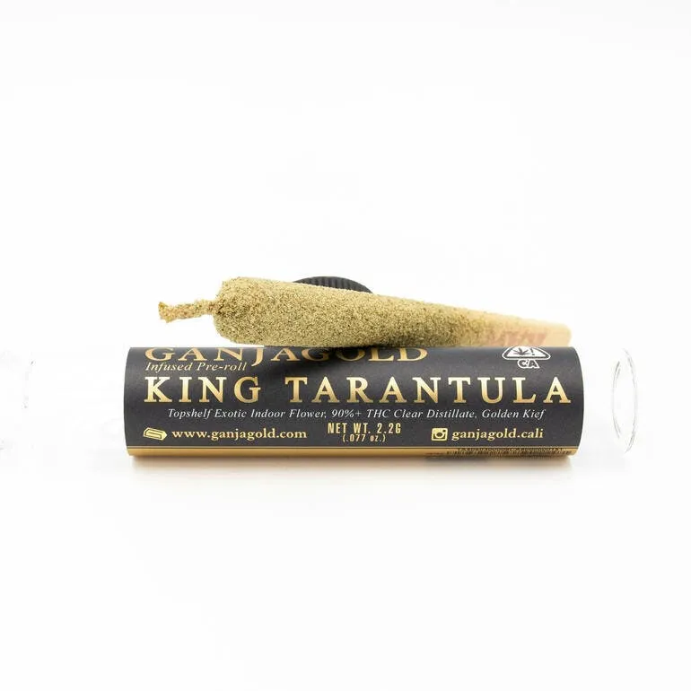 19515 king tarantula pre rolls cameroon intro
