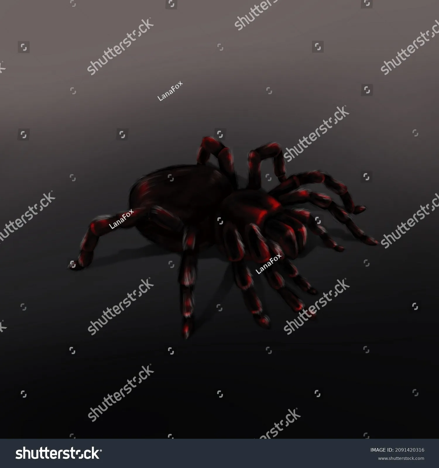 19525 tarantula bite