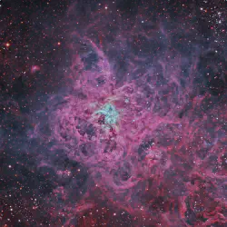 /img/19530-tarantula-nebula-research.webp