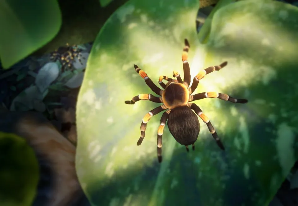 19532 redknee tarantula handling