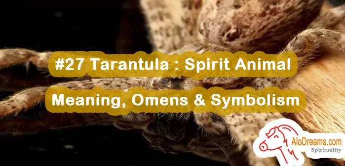 19544 tarantula creativity