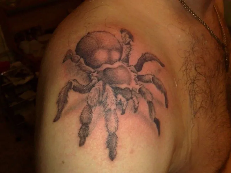 19545 geometric tarantula tattoo