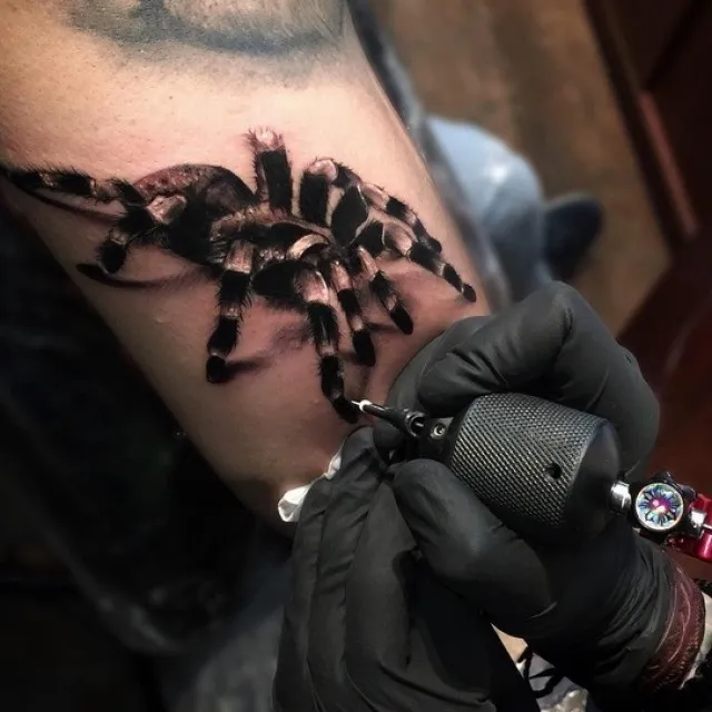 19545 tarantula tattoo placement