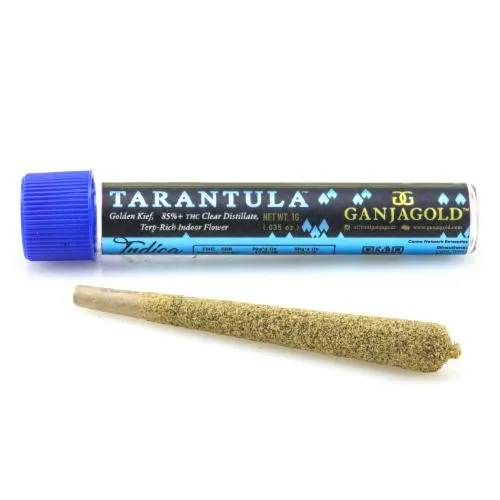 19558 tarantula ganjagold handling
