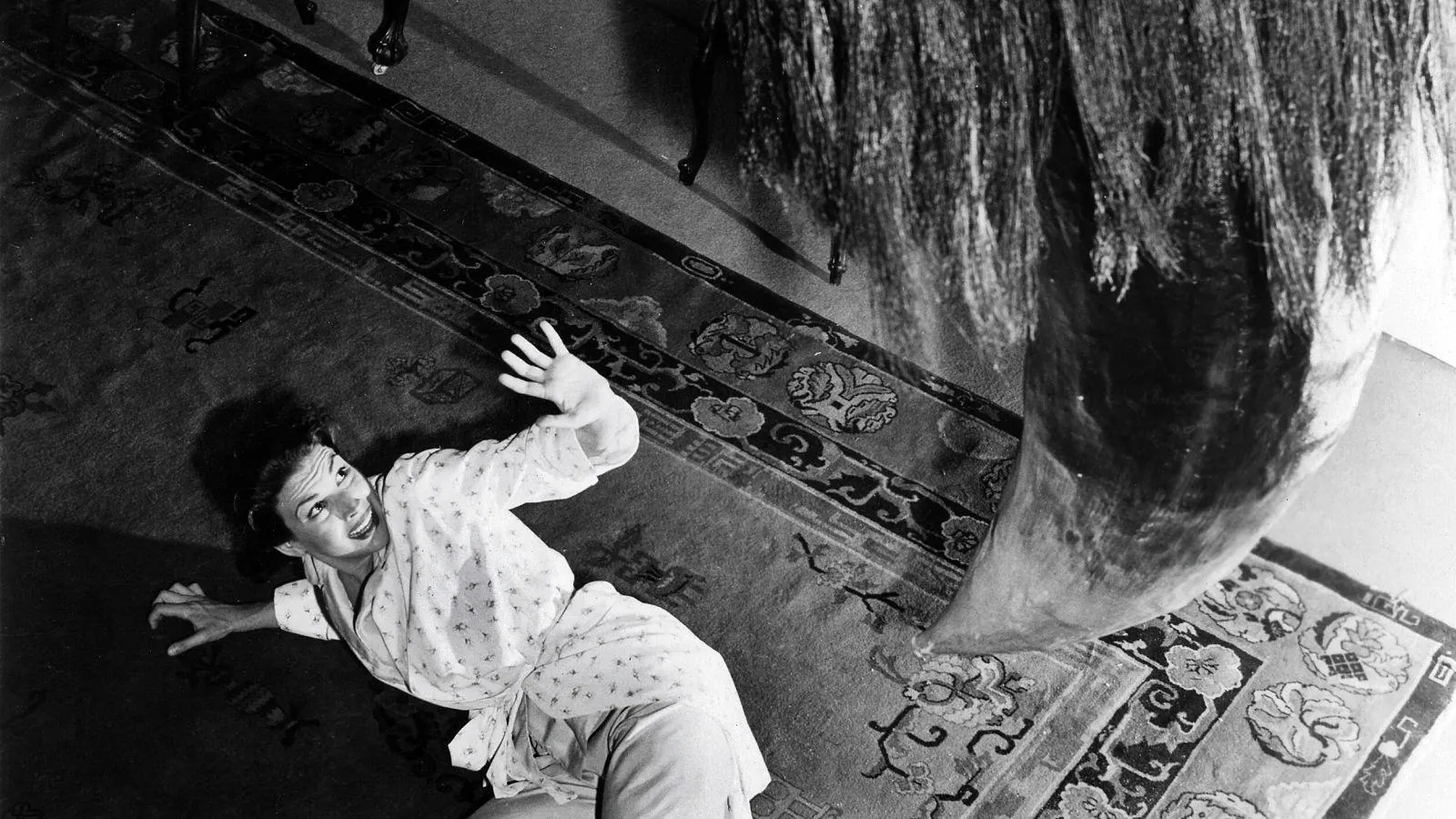 19559 tarantula feeding