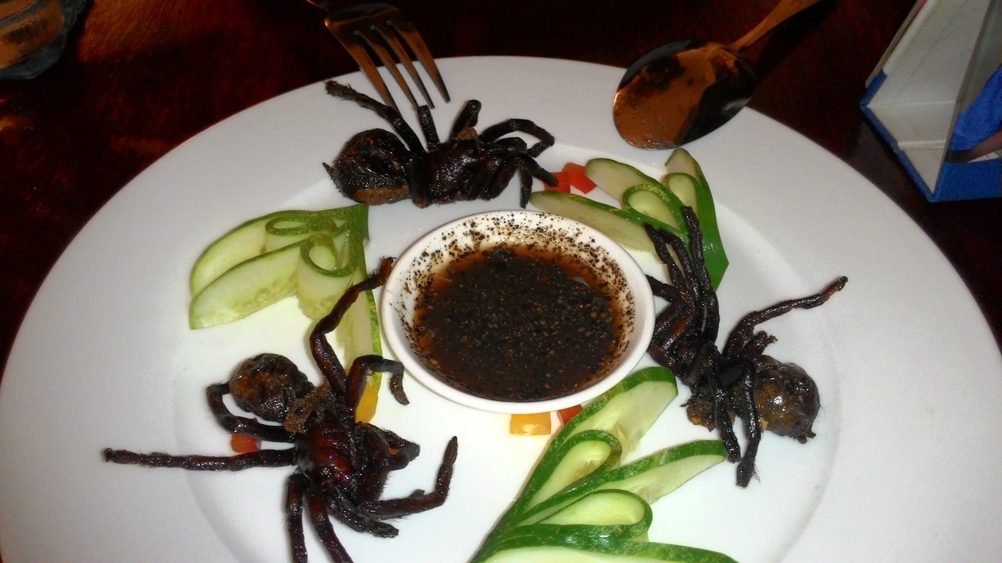 19563 tarantula protein content