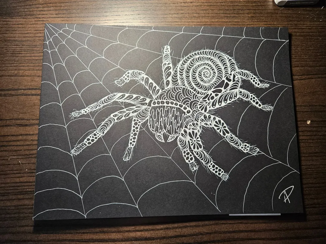 19567 tarantula drawing example