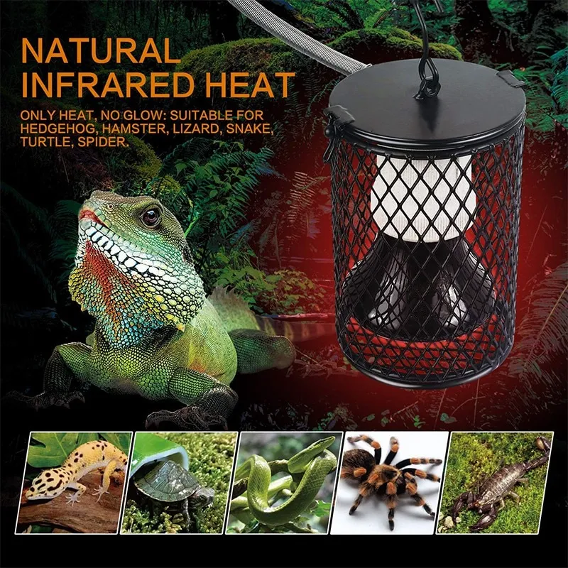 19568 rose hair tarantula heat lamp overview