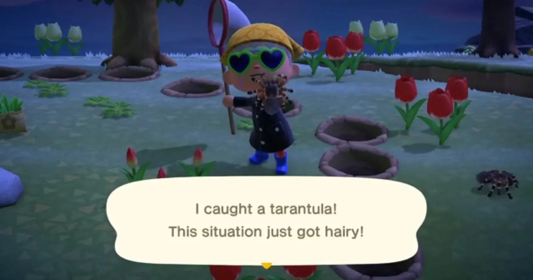 19573 animal crossing tarantula bite reaction