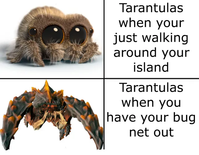 19573 animal crossing tarantula tools