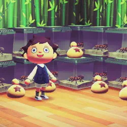 /img/19573-animal-crossing-tarantula-warning.webp