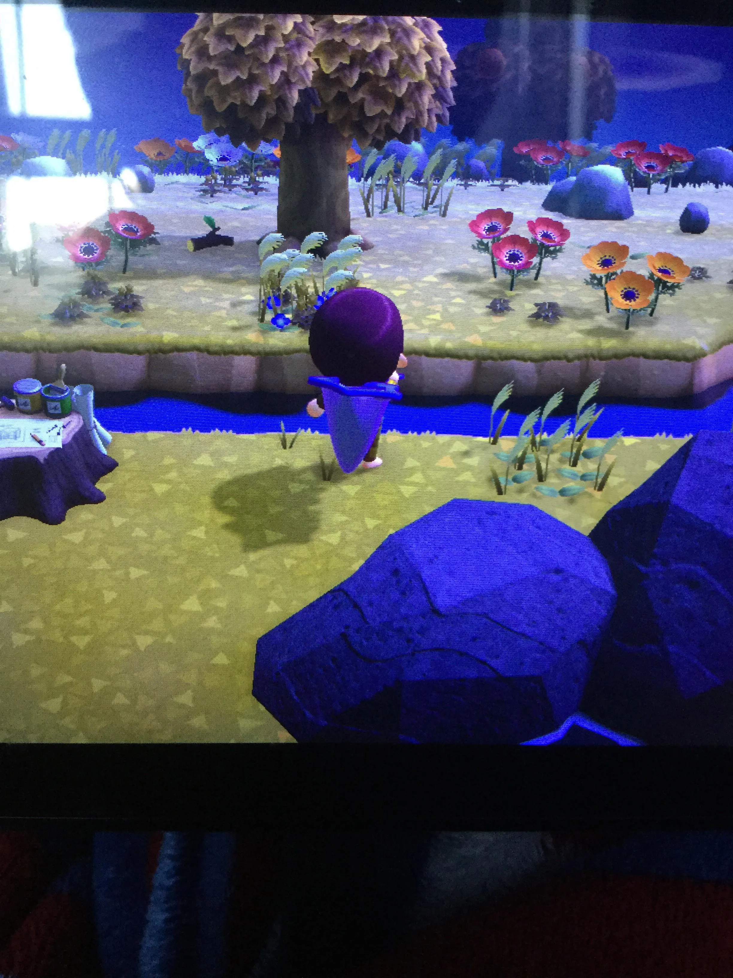 19575 animal crossing catching tarantula