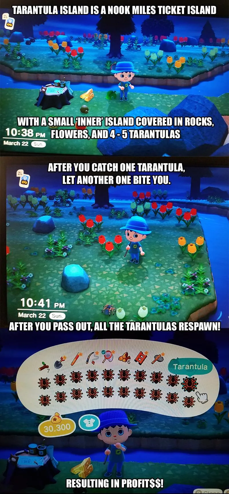 19575 animal crossing clearing island