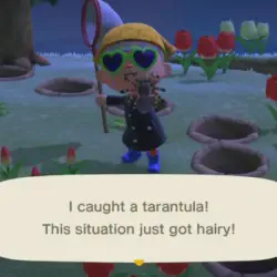 /img/19575-animal-crossing-tarantula-bite.webp