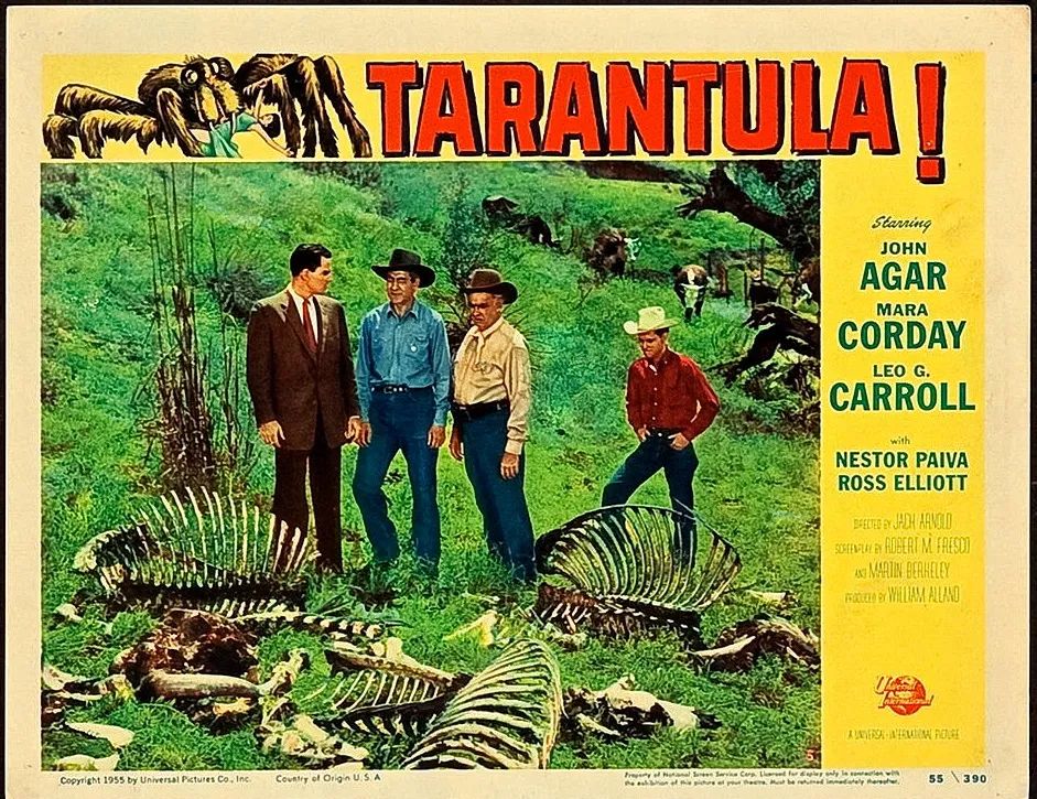 /img/19582-watch-tarantula-movies.webp