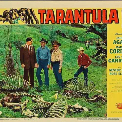 /img/19582-watch-tarantula-movies.webp