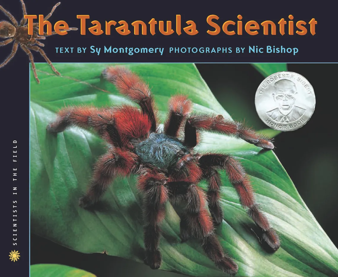 19583 tarantula sensory systems