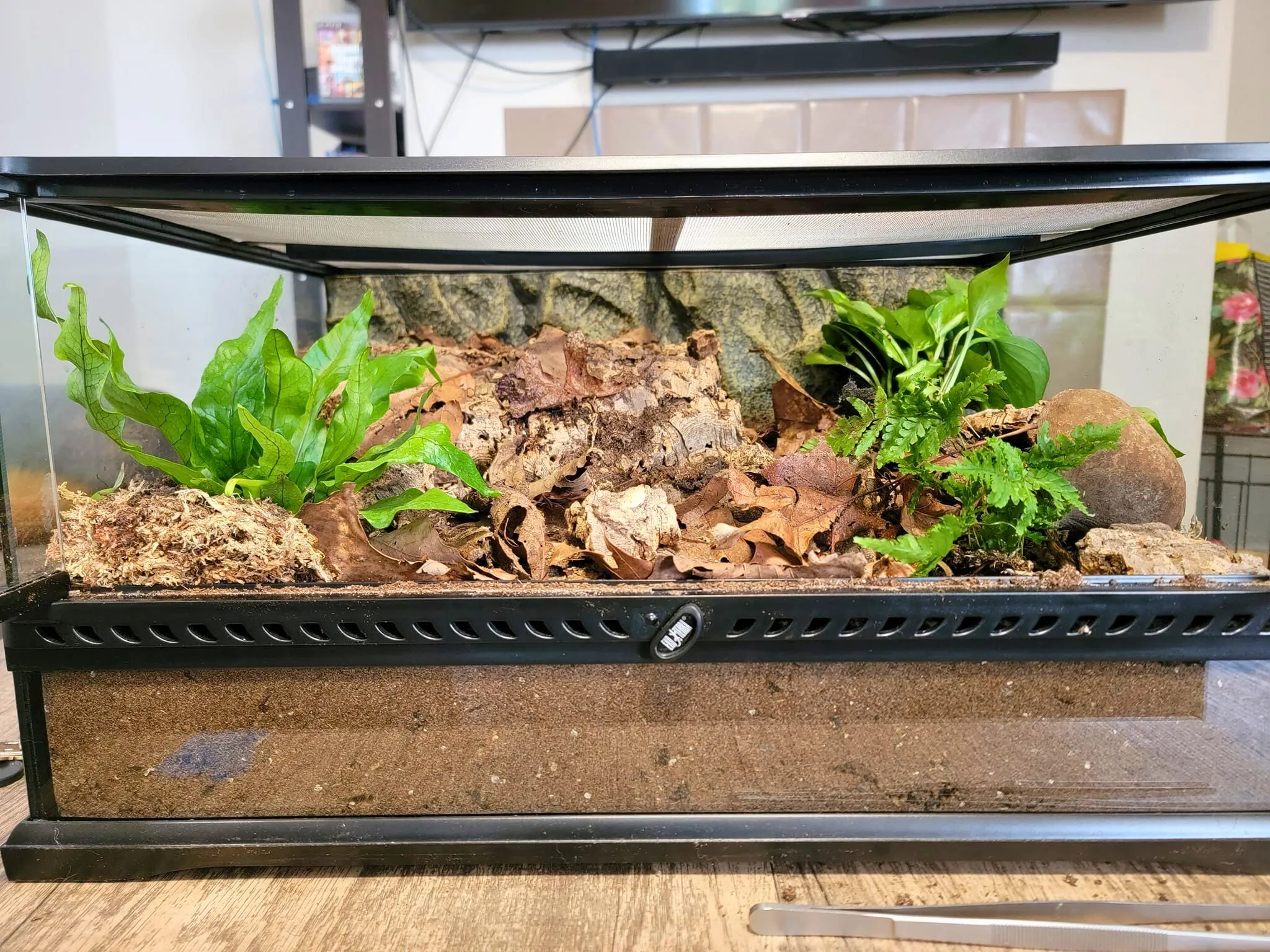 19586 heat lamp
