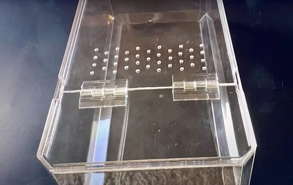 19586 tarantula health