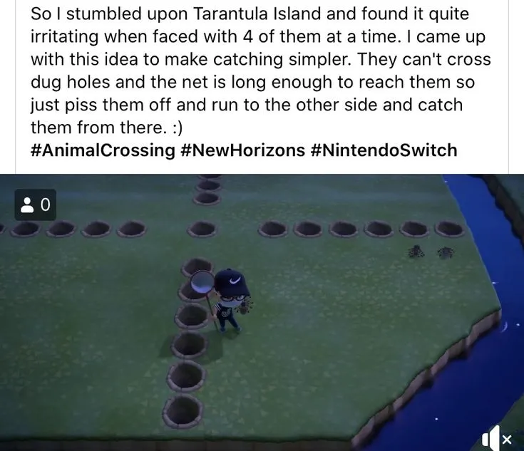 19588 acnh tarantula island not working 1