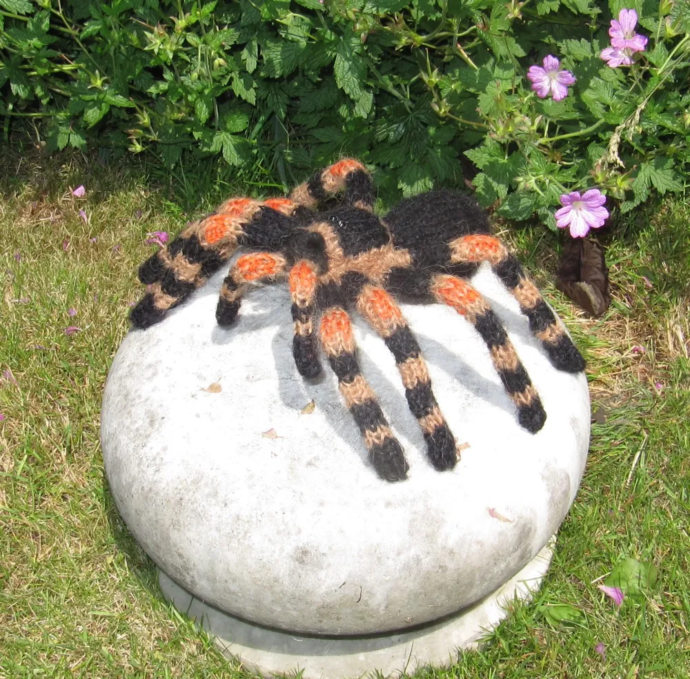 19608 tarantula enclosure