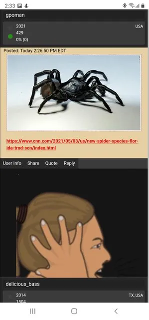 19620 everglades tarantula size